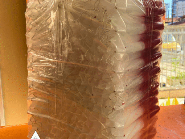 Vela Palito Branca e Vermelha 10Kg.